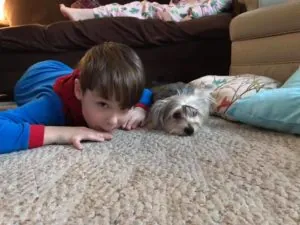 We will adopt from them again!