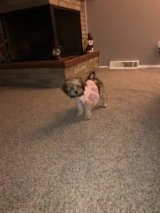 So Very Happy to Have our Sweet Lilly