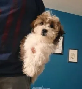 Our family is complete!
