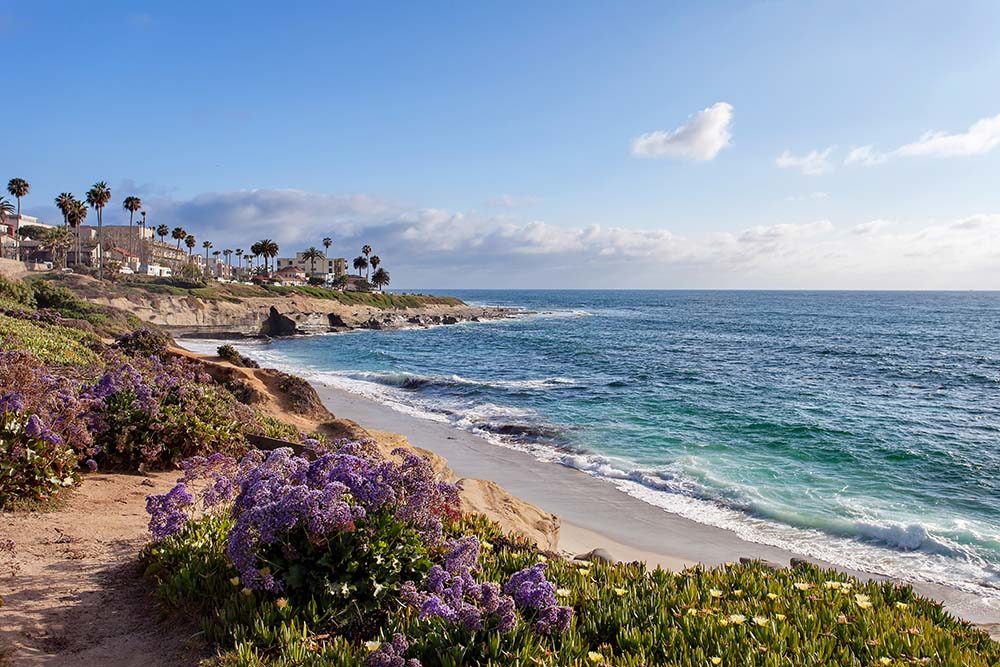 Tropical California Beach