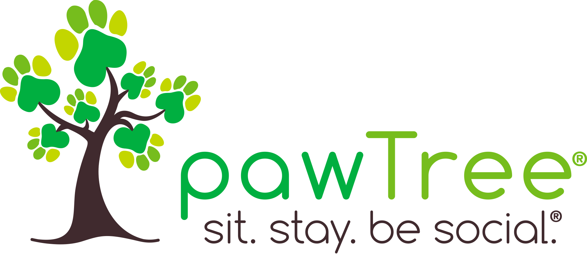 PawTree Logo