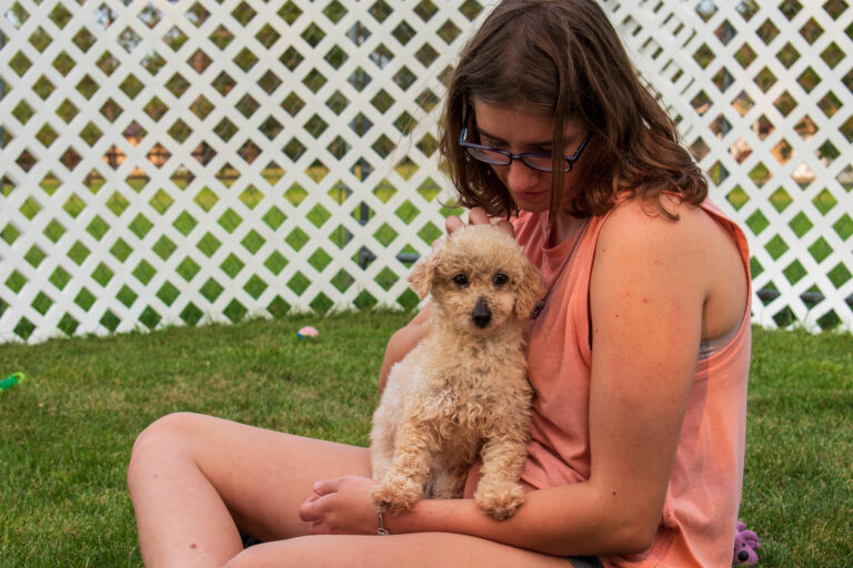 Mandy The Toy Poodle Mom