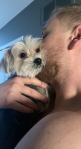 Beamer the Morkie Review